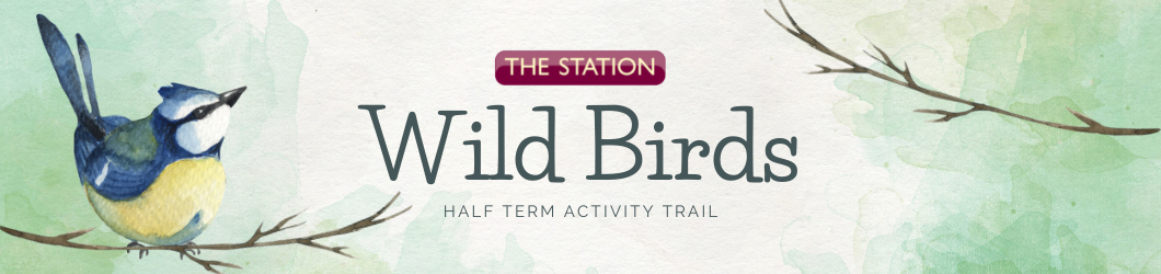 Wild Birds Half Term Activity Trail