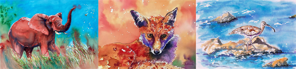Wonder in Wildlife - Jaci Stroud