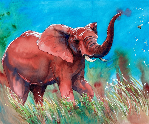 Wonder in Wildlife - Jaci Stroud