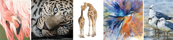 Association of of Animal Artists Autumn Exhibition
