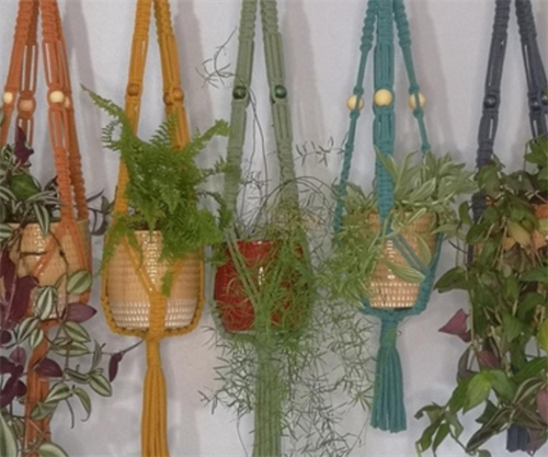 Macrame Workshop - Plant Hanger