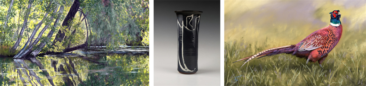 North Yorkshire through the eyes of Brigantia