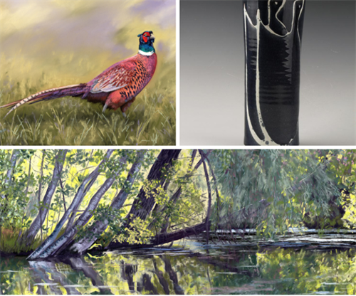 North Yorkshire through the eyes of Brigantia