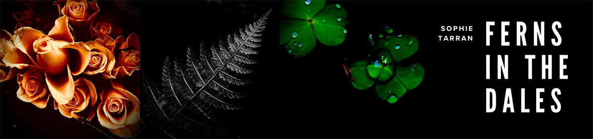 Ferns in the Dales - Sophie Tarran