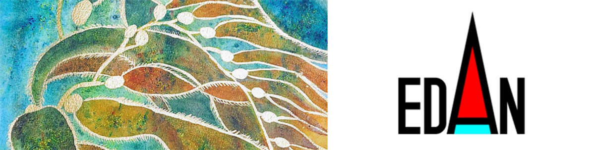 Stronger Shores and the Durham Coastline - East Durham Artist Collective