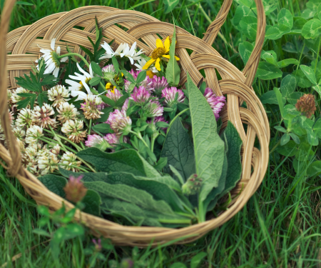 Forage and Feast Workshop: Foragebox