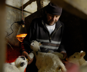 THE STATION TO HOST EXCLUSIVE SCREENING OF...