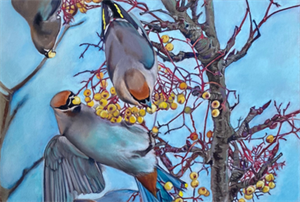 Association of Animal Artists - Autumn Exhibition
