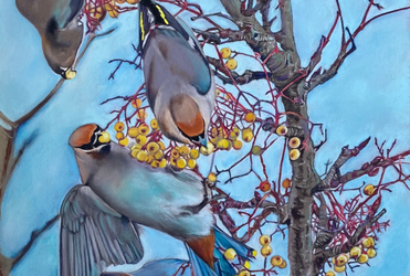 Association of Animal Artists - Autumn Exhibition