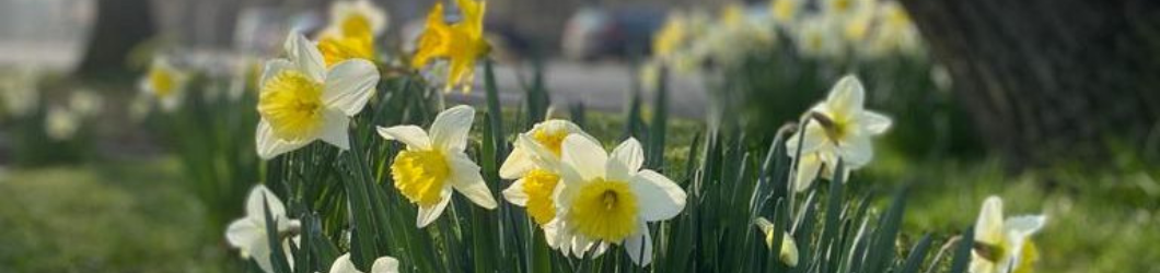 March at The Station