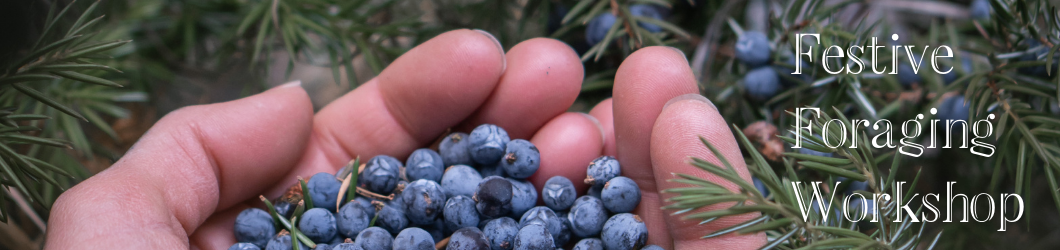 FESTIVE FORAGING WORKSHOP