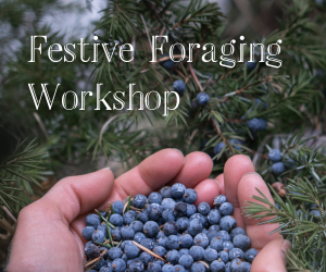 FESTIVE FORAGING WORKSHOP