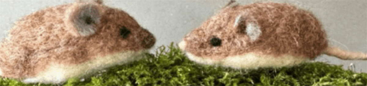 Felt Mouse Workshop