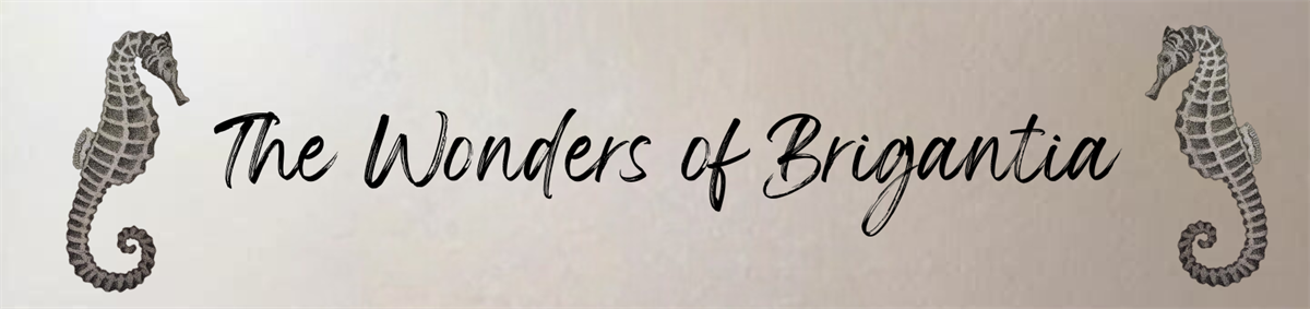 The Wonders of Brigantia