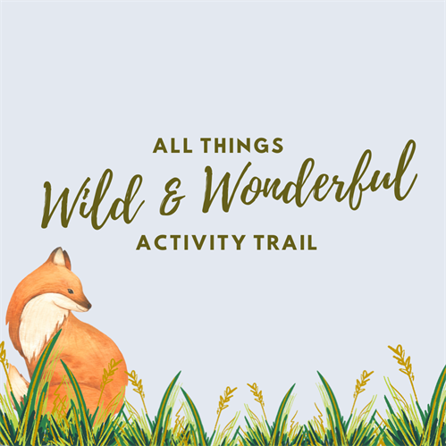 ALL THINGS WILD AND WONDERFUL ACTIVITY TRAIL