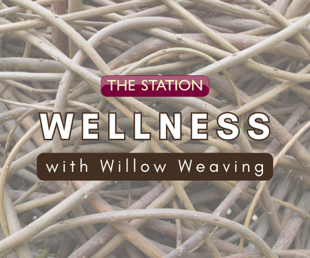 Wellness with Willow Workshop