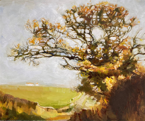 Buds to Berries: Seasonal impressions of a Northern...