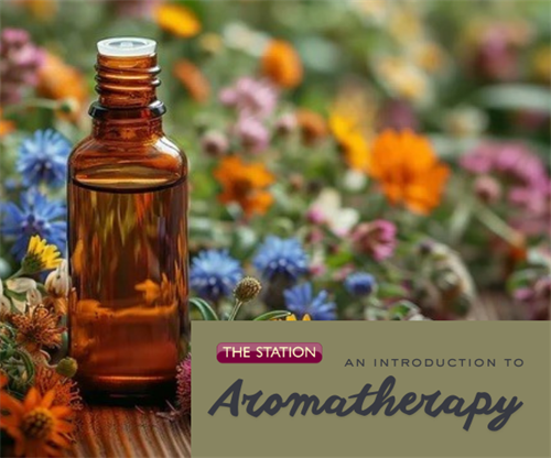 An Introduction to Aromatherapy
