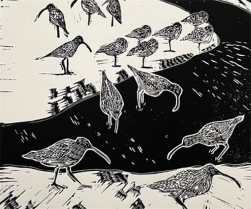 Moors and More - Sally Zaranko