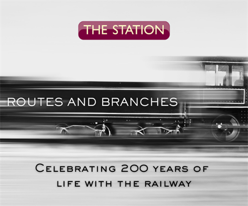 Routes and Branches - Curated Exhibition