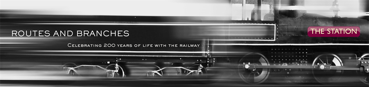 Routes and Branches - Curated Exhibition