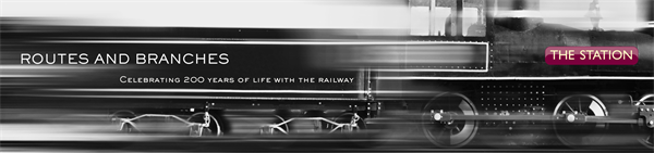 Routes and Branches - Curated Exhibition