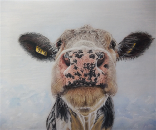Portraits in Pencil - Heather Ritchie