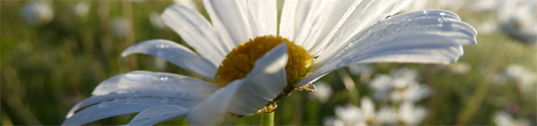 Nature in the Frame - Liz Emery and Kerry Dinsdale