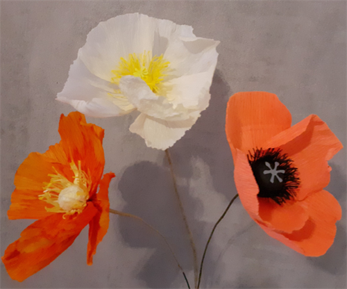 Paper Poppy Workshop
