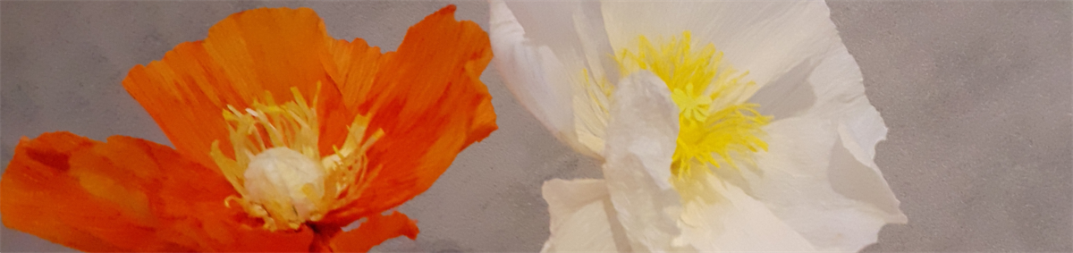 Paper Poppy Workshop