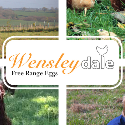 WENSLEYDALE EGGS